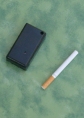 ambientale e logger GPS LGR128.
