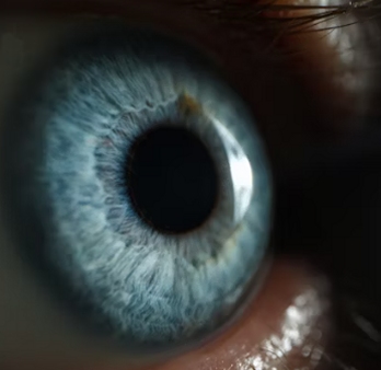 Microcamere Internet.